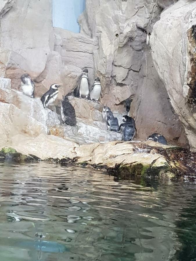 Al Borgo Di Priaruggia Villa Genova Esterno foto